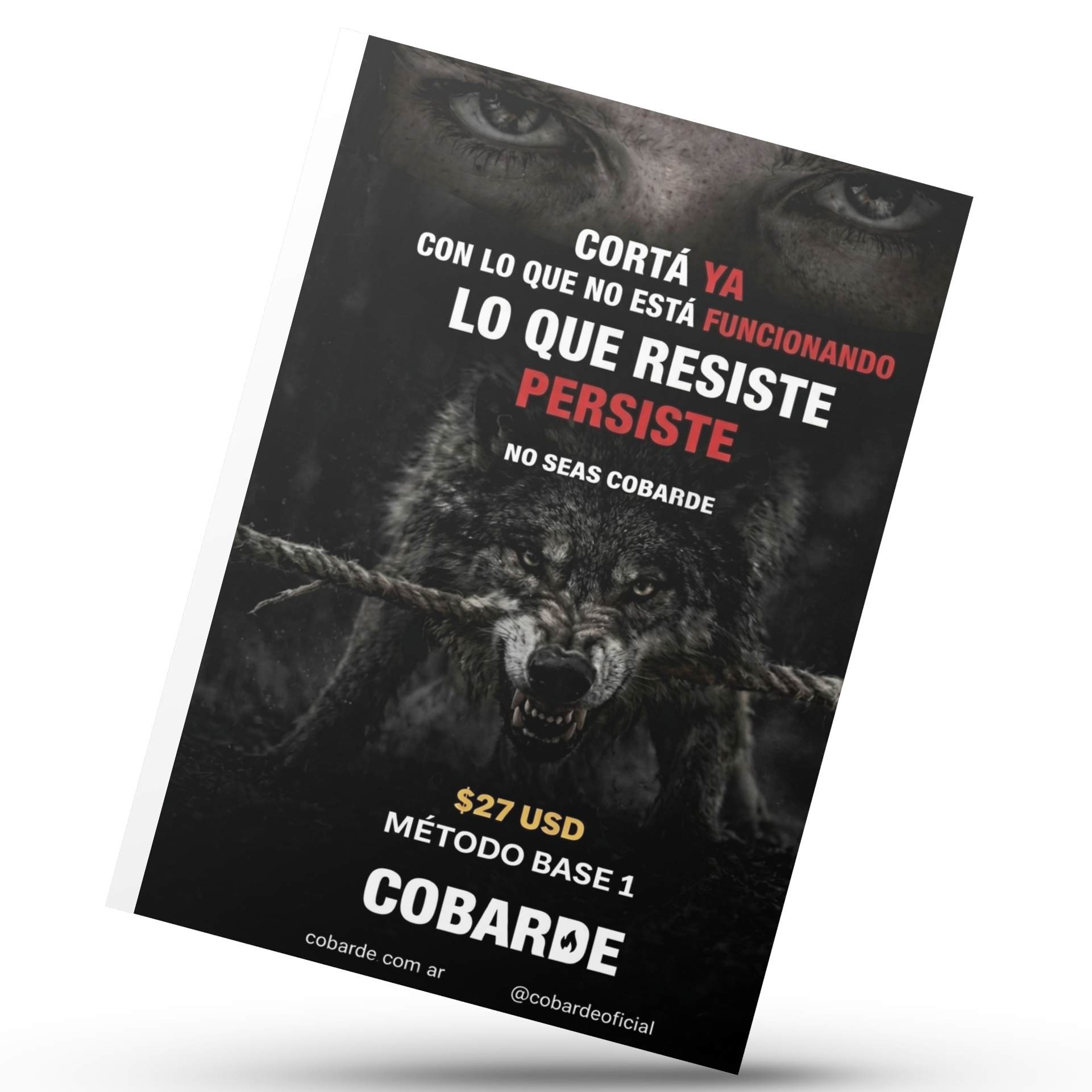 METODO TRES PASOS, APRENDE A CAMBIAR, LO QUE RESISTE, PERSISTE.